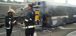 Bus-accident-pixabay-170619-