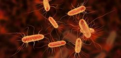 ecoli infection