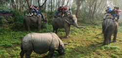 Chitwan-National-Park-Tour-1