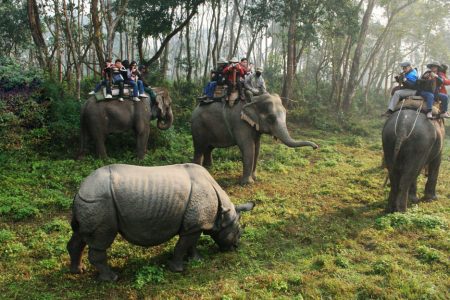 Chitwan-National-Park-Tour-1
