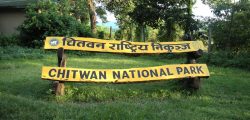 Chitwan-National-Park