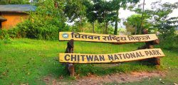 Chitwan-National-Park