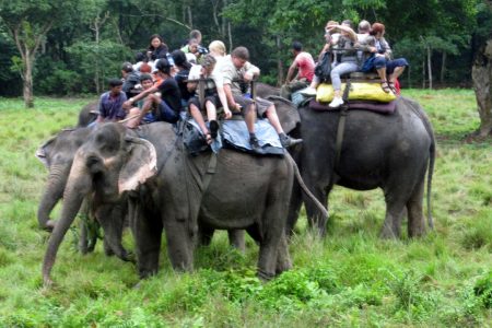 Chitwan-sauraha