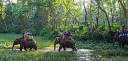Chitwan.National.Park_.original.2800