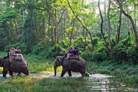 Chitwan.National.Park_.original.2800