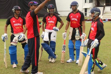 Cricket3151