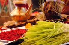Dashain-Tika-Jamara-1537676375