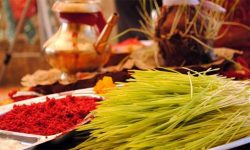 Dashain-Tika-Jamara-1537676375