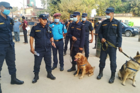 Dog-696x385