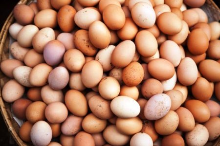 EGG