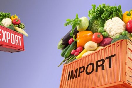 EXIM-vegetable