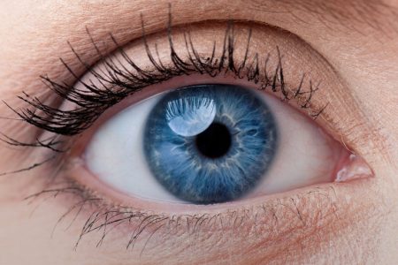 Eye