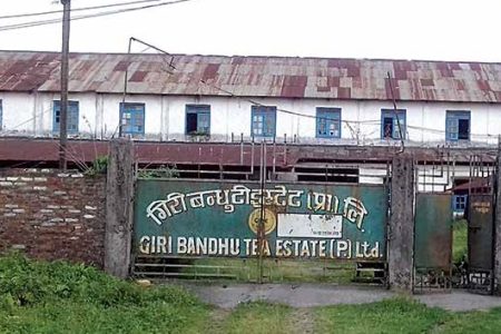 Giribandu-tea-state_20220607080503_JGMWEw5ude