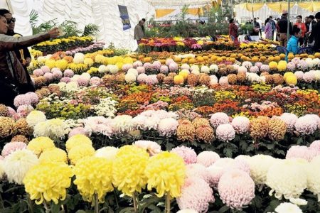 Godawari-flower-expo.v2