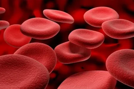 Human-red-blood-cells