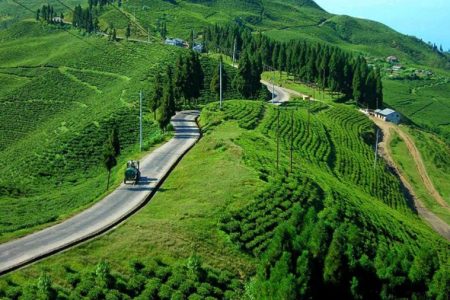 Ilam