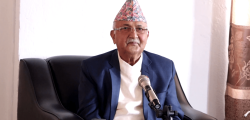 KP-Oli-3