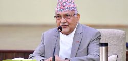 KP-Oli-photo