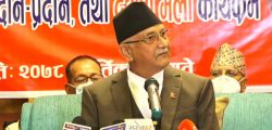 KP_OLi