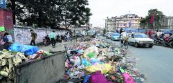 waste disposal has continued to remain unmanaged at Bhrikutimandap, Kathmandu on Saturday June 29, 2019
Photo: Prakash Shrestha/Nagarik/Republica