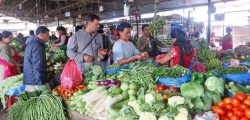Kalimati-vegetable-market