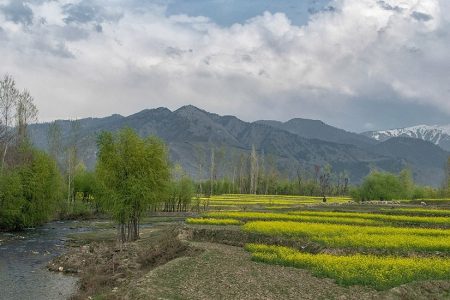 Roshni Act beneficiaries include powerful J&K figures. (Photo: J&K Tourism Department)