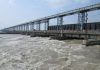 Swollen Saptakoshi River after incessant rainfall at the Koshi Barrage