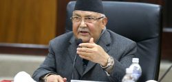 Kp-Oli-Ncp