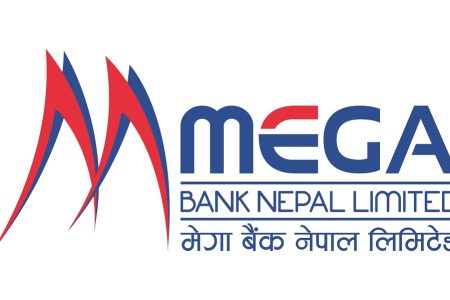 Mega Bank