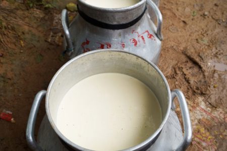 Milk