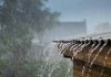 Monsoon-3