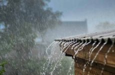 Monsoon-3