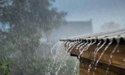 Monsoon-3