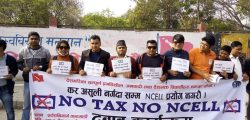 NCell_notax