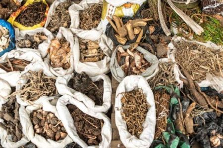 Nepali-medicinal-herbs-600x400