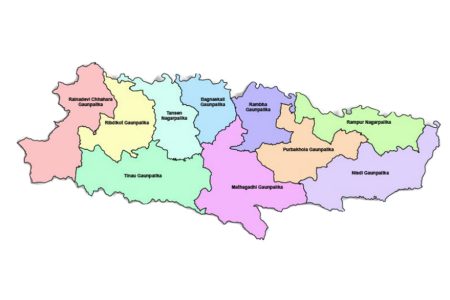 Palpa