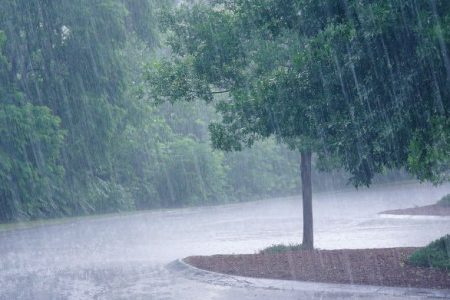 Rain_Heavy.2e16d0ba.fill-650x500