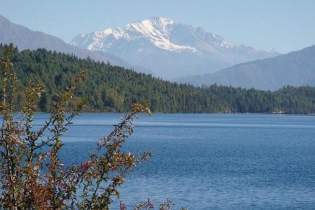 Rara