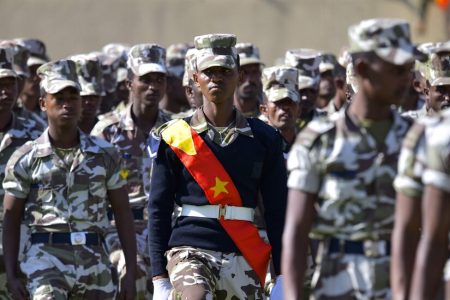 Report-Ethiopia’s-Leader-Orders-Military-Action-in-a-Northern-Region