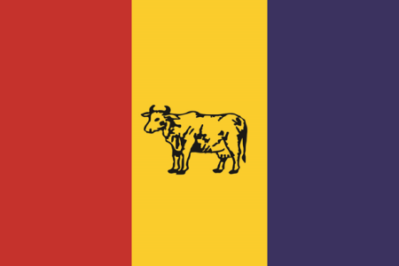 Rppnepalflagnewversion