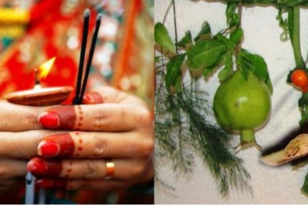 Saune-Sakranti_Luto-Falne-Din
