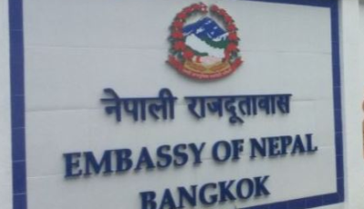 Screenshot 2026-03-31 133233