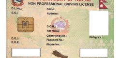Smart-driving-licence-specimen