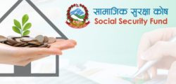 Social-Security-Fund