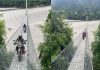 Untitled design (4)
