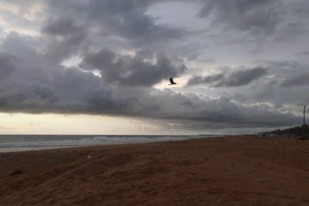 Weather
