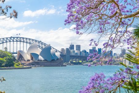 australia_corona