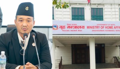 b50ca935-e218-4b61-b637-facd118a9d76