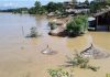 badhi-duban-sauraha_5pdmFihGF2