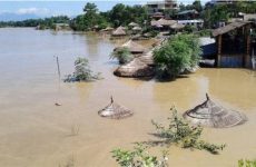 badhi-duban-sauraha_5pdmFihGF2